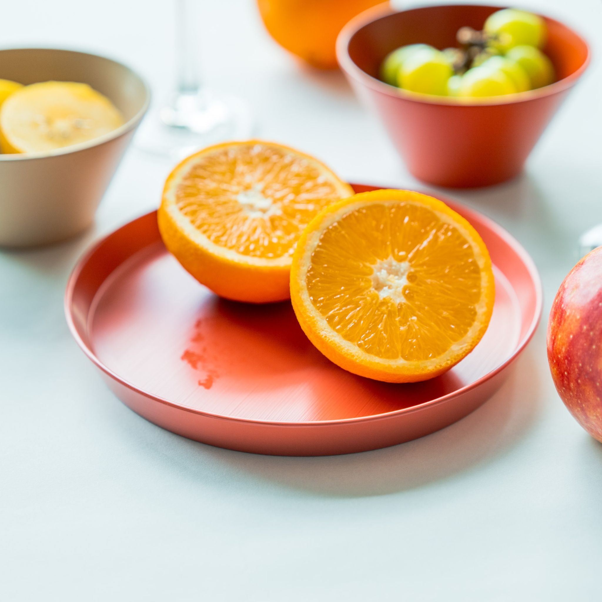 RIN&CO Lacquerware Plate Medium Coral Pink
